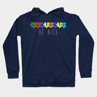 Autistic Be Nice Puzzle Hoodie